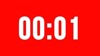 1 Second Timer With Alarm Without Music