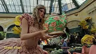 Beautiful Tea and Tulips Bellagio Conservatory Las Vegas