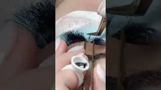 Applying premade fans on curved lashes. #lashextensions