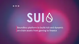 Sui a new blockchain with excellent prospects!