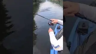 Bass on a Cheap Temu Duck Lure! #fishing #bassfishing #kayakfishing