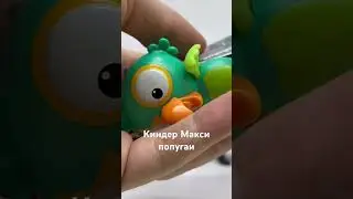 Киндер макси попугаи музыканты #kindersurprise #большиеяйца #шоколадныеяйца #киндер #toys  #попугаи