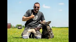 LIVE - Beware of social media dog training