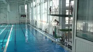 Показательные выступления по прыжкам в воду