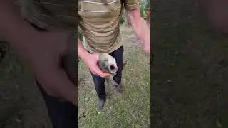 Дядя Витя рыбачок ловит рыбку на крючок