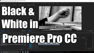 How to make a video black and white in Premiere Pro CC