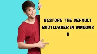 Restore the default boot-loader in Windows 11
