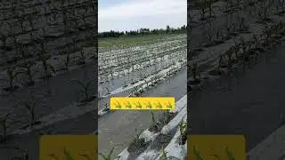 12 мая 2024 г.