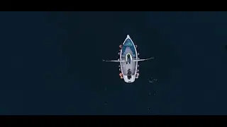 Seafood is the Way Forward