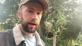 More Cash Crop Ideas