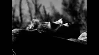Corbin Allred - Oh My Soul Hungered