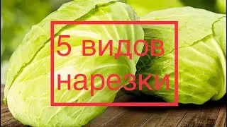 5 видов нарезки капусты на ПРОФИ BÖRNER