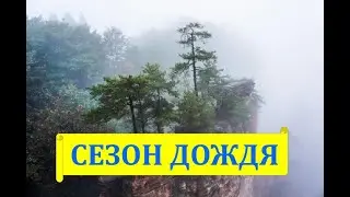 Сезон дождя