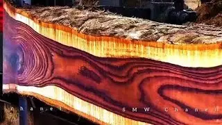 most expensive wood. just one stick, this wood can buy a hectare of land.