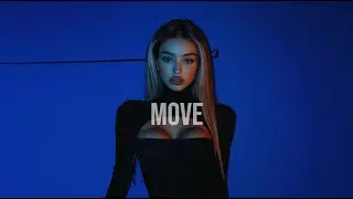 Adam Port, Stryv - Move (Alex Kirsch Remix) [House]