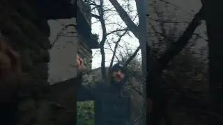Пищери фабрик