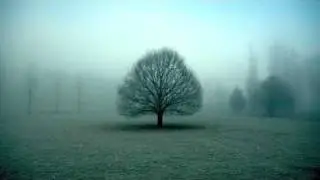 erhZ | Landscapes of You