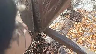 Копчения на походной печи.