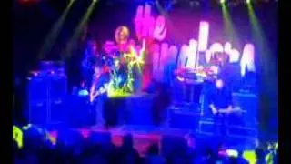 35 OOR Feest - The Stranglers - Golden Brown