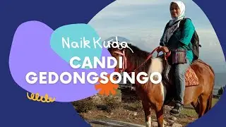 Naik Kuda di Obyek Wisata Candi Gedongsongo| Piknik Bareng Sekolah Penggerak
