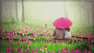 Sprüche u. Zitate ♡ für Herz und Seele ( Teil 2 ) *❀*