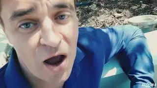 EDWARD BIL / ПОЛКОВНИК МАМУРА / Я В РУКИ НЕ БЕРУ