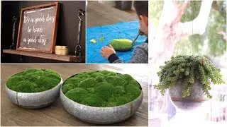 Around The House DIY's