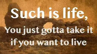 Such Is Life -   lyric video