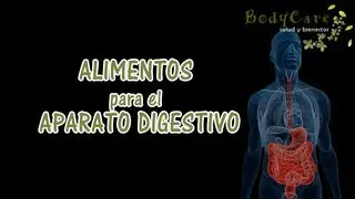 Alimentos para el aparato digestivo