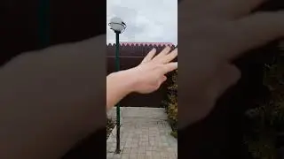 6 апреля Липецкая область,открыла розы.