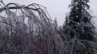 VID_20170204_165216.mp4
