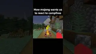 Minecraft Campfire