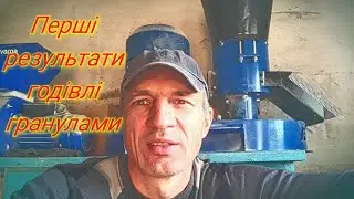 ШОК, не хочуть їсти гранули.