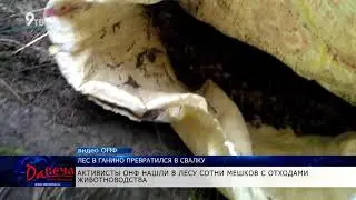 Лес в Ганино превратился в свалку