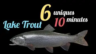 6 UNIQUES in 10 MINUTES - LAKE TROUT - WHITE MOOSE