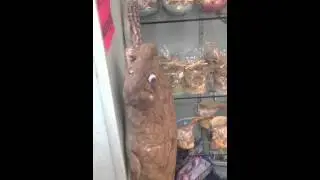 США. Магазин на тему моря )) Санибел айлэнд. Флорида