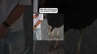POV : Moi à 3h du mat en train de parler à ChatGPT