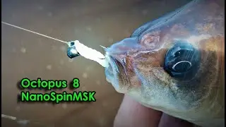 Мормышинг. Тревел Octopus 8 . Карась и ротан.