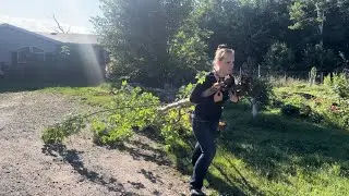 Devastating Tree Loss! | Simply Bloom