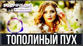 ПРОСТО ШИКАРНЫЙ ТРЕК - ТОПОЛИНЫЙ ПУХ