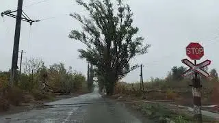 17 октября 2024 г.