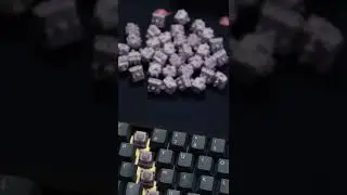 These Hippo Switches from Kinetic Labs are so nice!