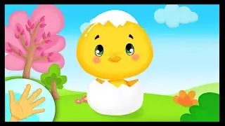 Comptinette du petit poussin - comptine à gestes