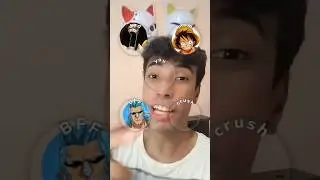 SUA FAMÍLIA DE ONE PIECE