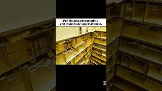 Por fin, una protagonista con instinto de supervivencia 