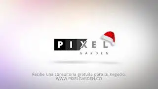 Promoción Navidad