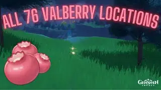 Valberry Farming Route - Genshin Impact Guide