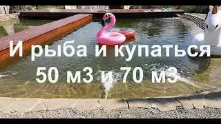 И рыба и купаться
