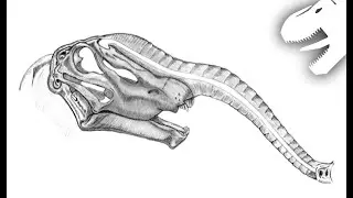 Exploring the Theory of Trunked Sauropods | Dinosaur Of The Month