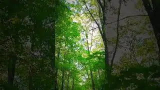 Дорога на дачу #дача #дачамечты #домашнийвлог